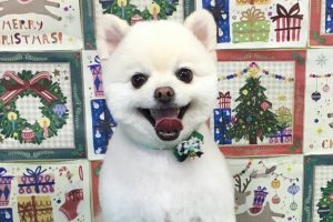 12月のお友達☆