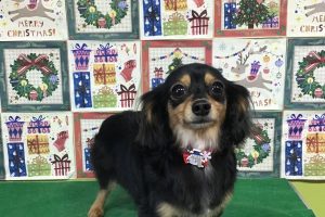12月のお友達☆