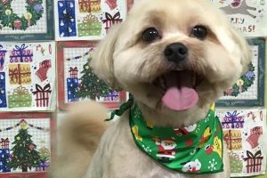 12月のお友達☆
