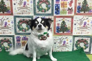 12月のお友達☆