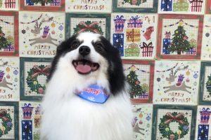 12月のお友達☆