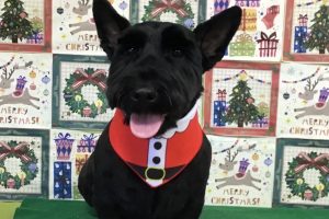12月のお友達☆