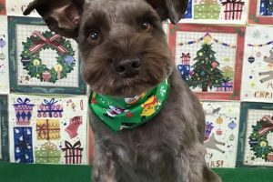 12月のお友達☆