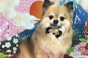 1月のお友達☆