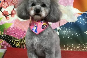 1月のお友達☆