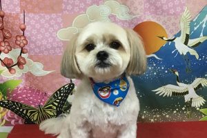 1月のお友達☆