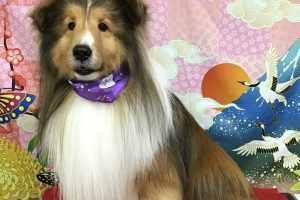 1月のお友達☆