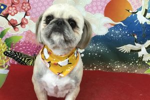 1月のお友達☆