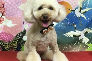 1月のお友達☆