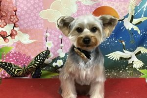 1月のお友達☆