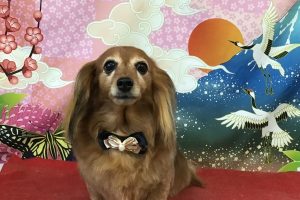 1月のお友達☆