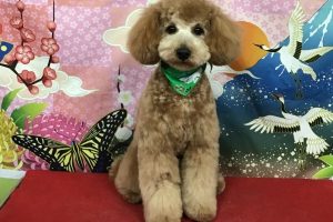 1月のお友達☆