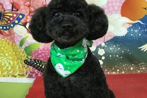 1月のお友達☆