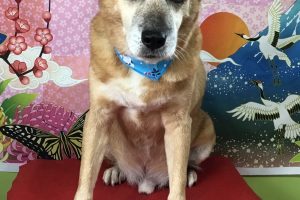1月のお友達☆