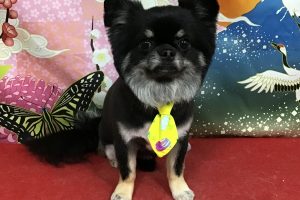 1月のお友達☆