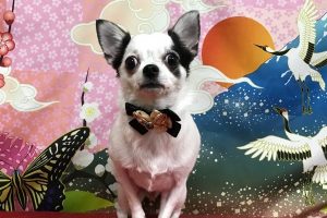 1月のお友達☆