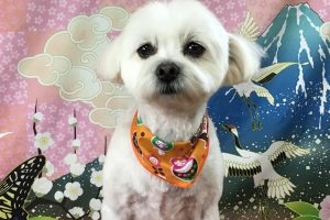 1月のお友達☆