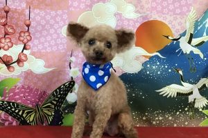 1月のお友達☆