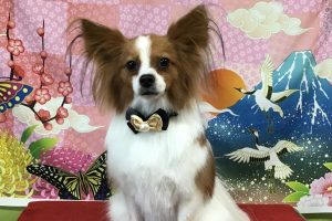 １月のお友達☆