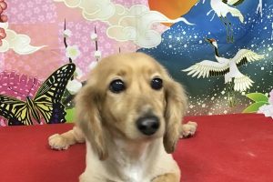 1月のお友達☆