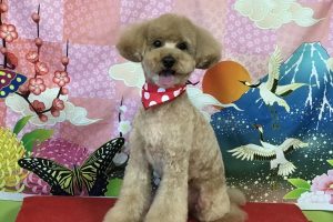 １月のお友達☆