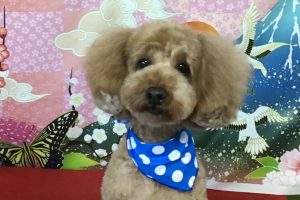 1月のお友達☆