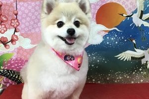 1月のお友達☆