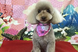 1月のお友達☆