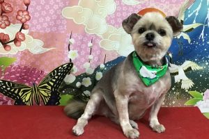 1月のお友達☆