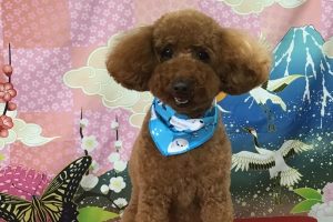 １月のお友達☆