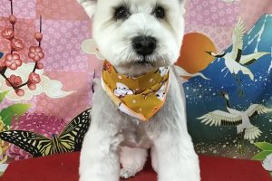 1月のお友達☆
