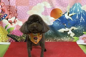 1月のお友達☆