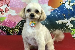1月のお友達☆