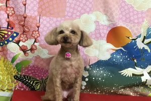 1月のお友達☆