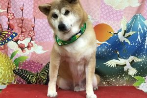 1月のお友達☆