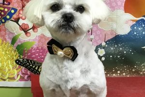 1月のお友達☆