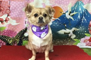 1月のお友達☆