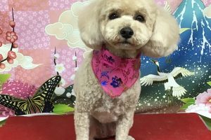1月のお友達☆
