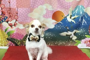 1月のお友達☆