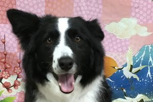 1月のお友達☆
