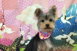 1月のお友達☆