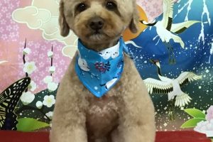 1月のお友達☆