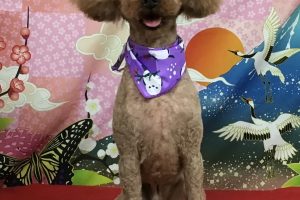 1月のお友達☆