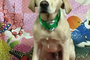 1月のお友達☆