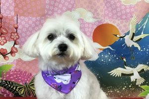 1月のお友達☆