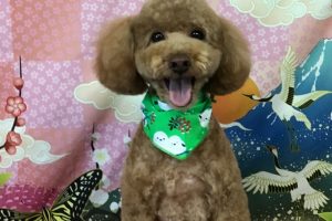 1月のお友達☆