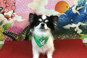 1月のお友達☆