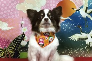 1月のお友達☆