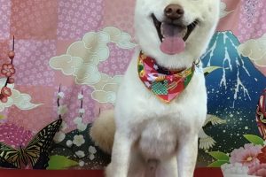 1月のお友達☆