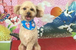 1月のお友達☆